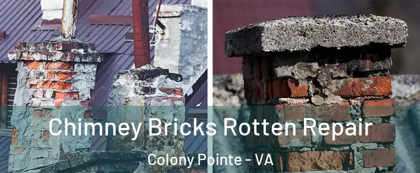 Chimney Bricks Rotten Repair Colony Pointe - VA