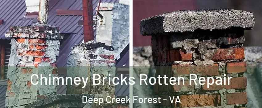 Chimney Bricks Rotten Repair Deep Creek Forest - VA