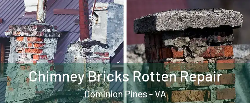 Chimney Bricks Rotten Repair Dominion Pines - VA