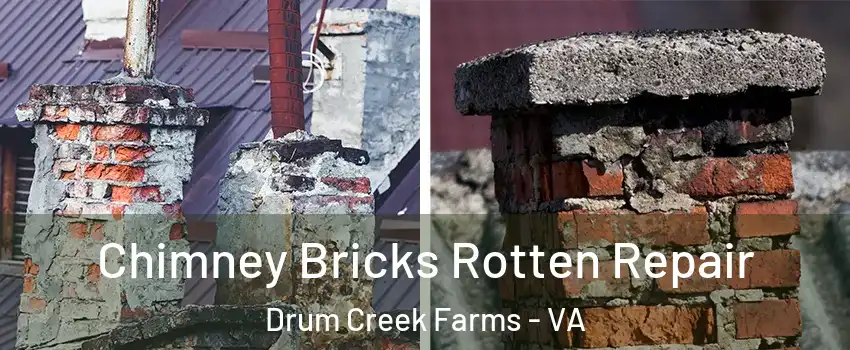 Chimney Bricks Rotten Repair Drum Creek Farms - VA