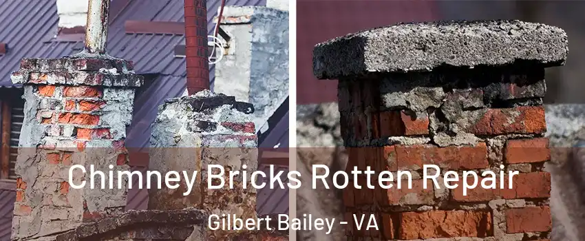 Chimney Bricks Rotten Repair Gilbert Bailey - VA