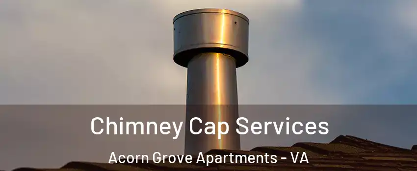 Chimney Cap Services Acorn Grove Apartments - VA