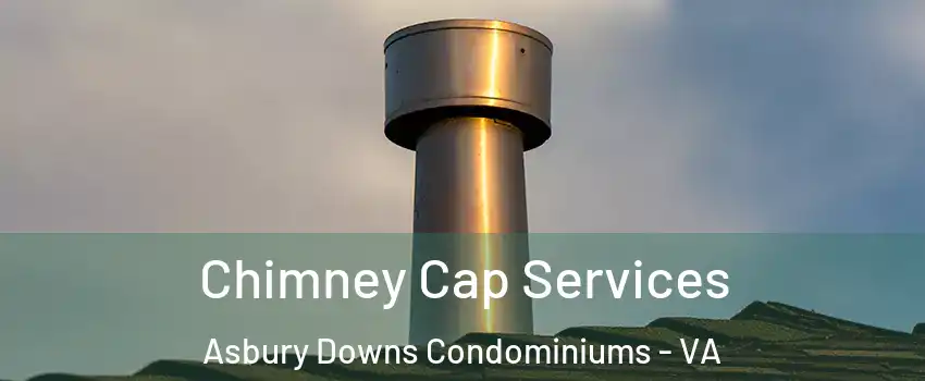 Chimney Cap Services Asbury Downs Condominiums - VA