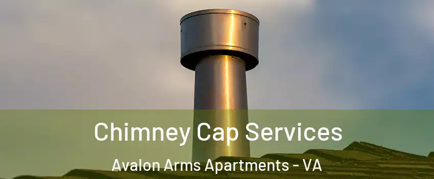 Chimney Cap Services Avalon Arms Apartments - VA