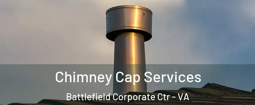 Chimney Cap Services Battlefield Corporate Ctr - VA