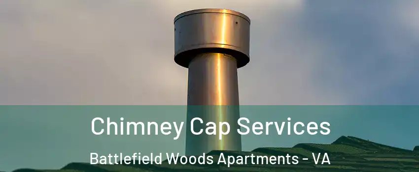 Chimney Cap Services Battlefield Woods Apartments - VA