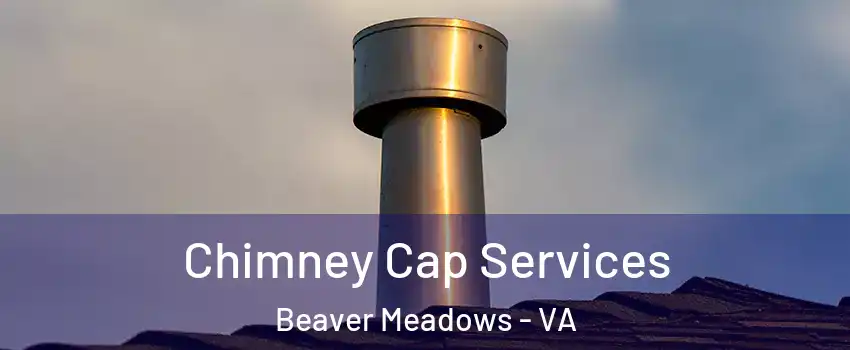Chimney Cap Services Beaver Meadows - VA