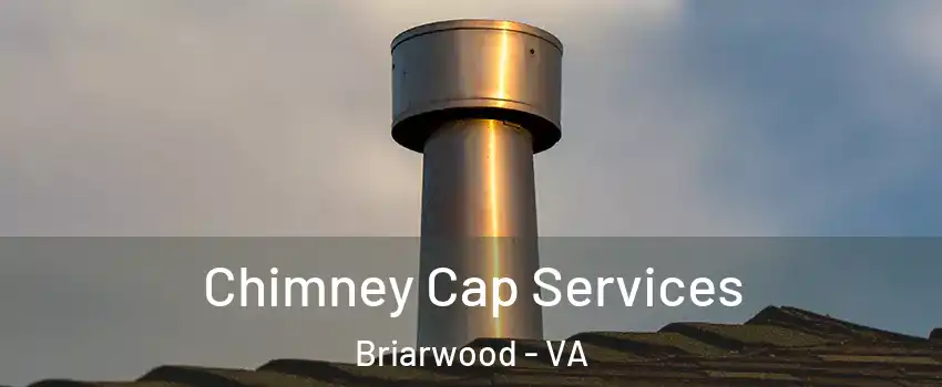 Chimney Cap Services Briarwood - VA