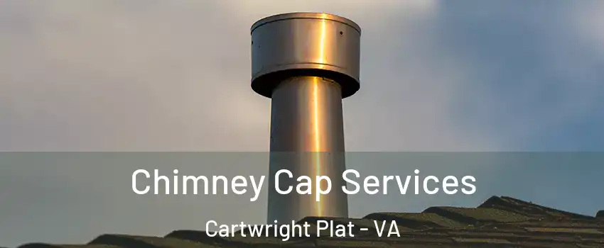 Chimney Cap Services Cartwright Plat - VA