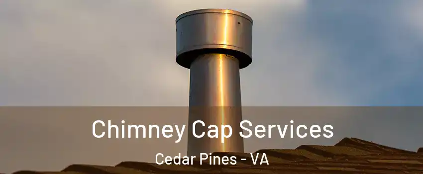 Chimney Cap Services Cedar Pines - VA