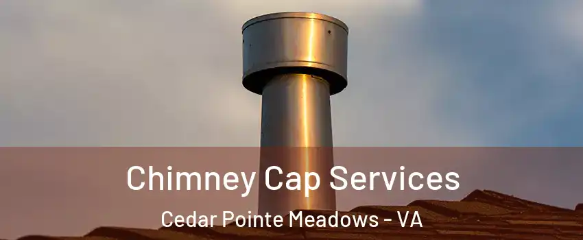 Chimney Cap Services Cedar Pointe Meadows - VA