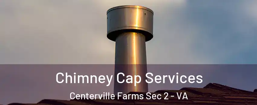 Chimney Cap Services Centerville Farms Sec 2 - VA