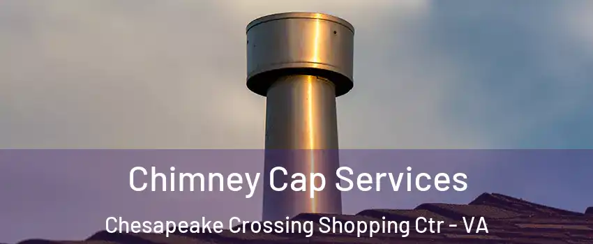 Chimney Cap Services Chesapeake Crossing Shopping Ctr - VA