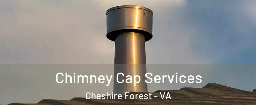 Chimney Cap Services Cheshire Forest - VA