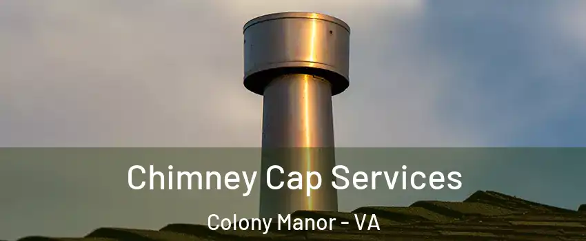 Chimney Cap Services Colony Manor - VA