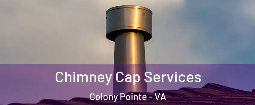 Chimney Cap Services Colony Pointe - VA