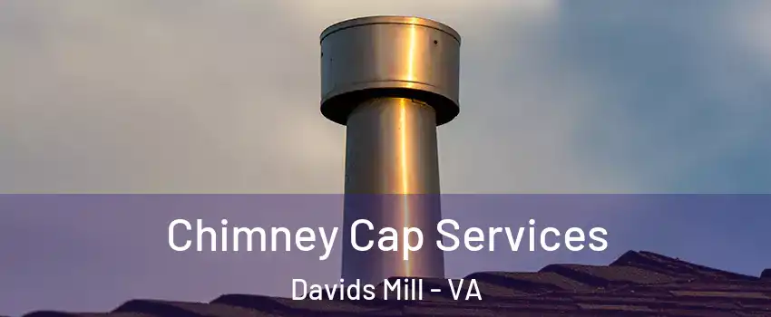 Chimney Cap Services Davids Mill - VA