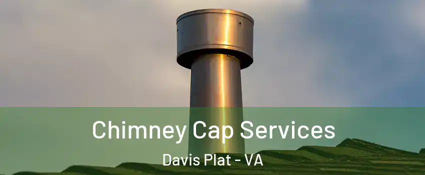 Chimney Cap Services Davis Plat - VA