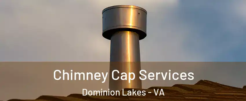 Chimney Cap Services Dominion Lakes - VA