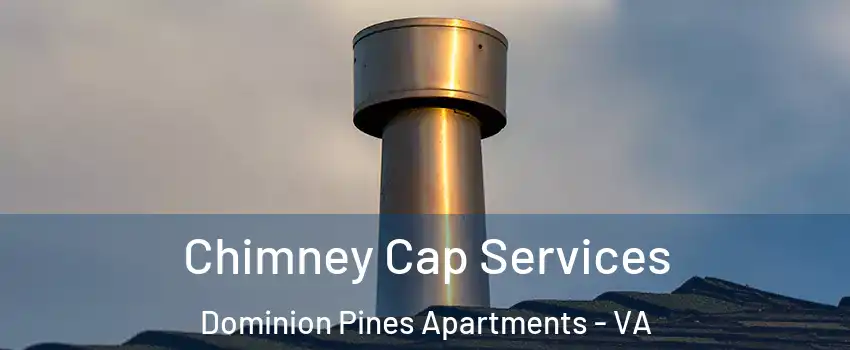 Chimney Cap Services Dominion Pines Apartments - VA