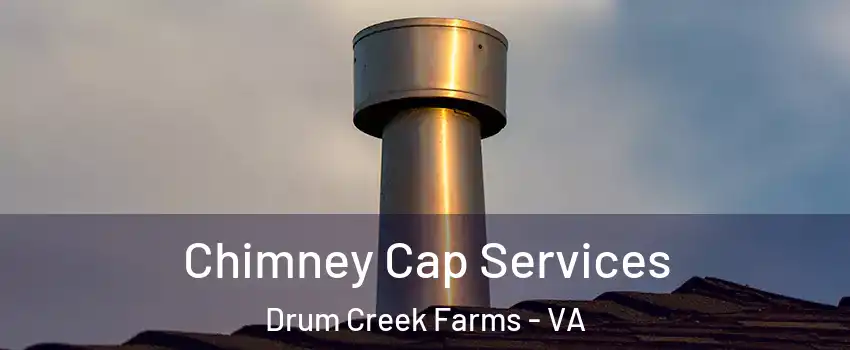 Chimney Cap Services Drum Creek Farms - VA