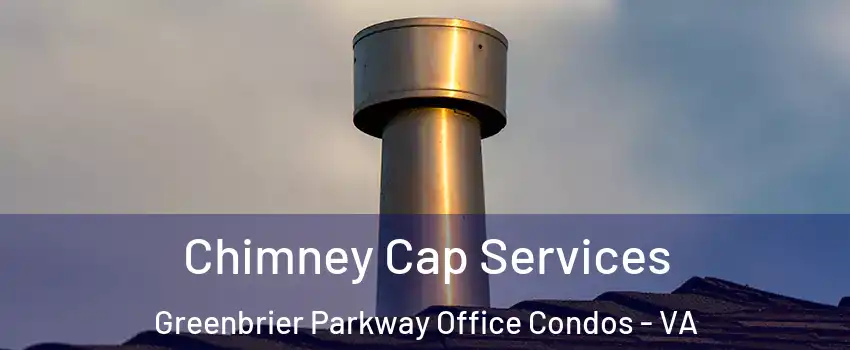 Chimney Cap Services Greenbrier Parkway Office Condos - VA