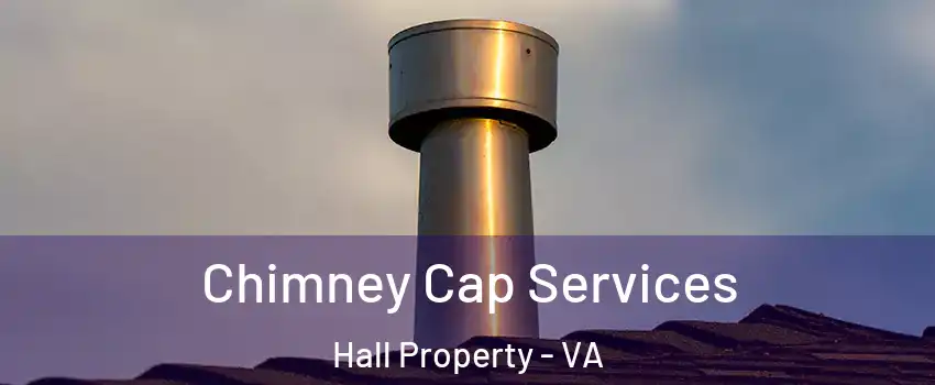 Chimney Cap Services Hall Property - VA