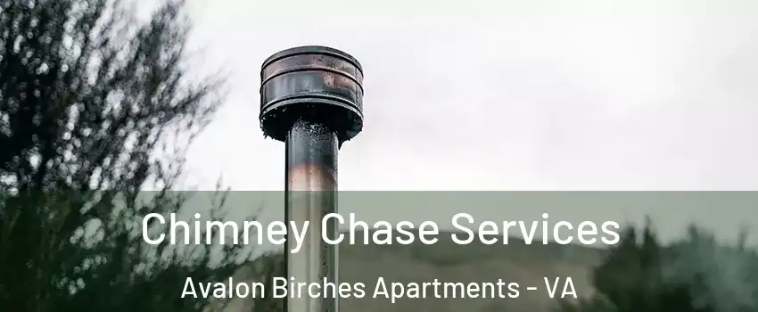 Chimney Chase Services Avalon Birches Apartments - VA