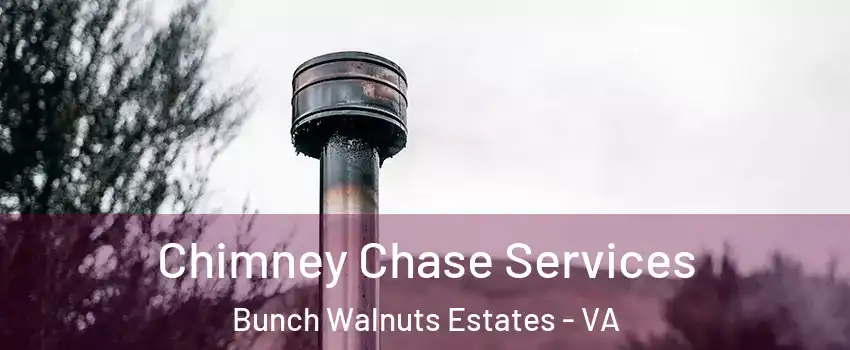 Chimney Chase Services Bunch Walnuts Estates - VA