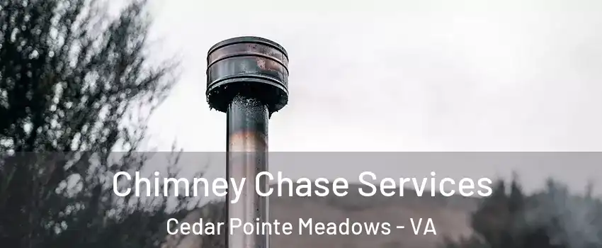 Chimney Chase Services Cedar Pointe Meadows - VA