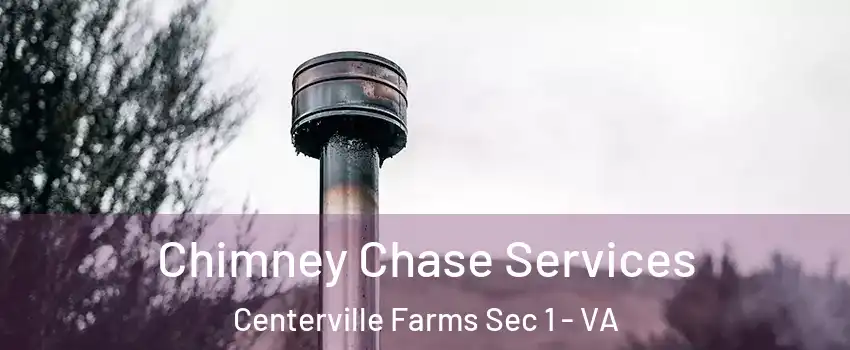 Chimney Chase Services Centerville Farms Sec 1 - VA