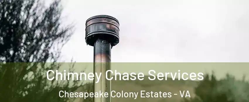 Chimney Chase Services Chesapeake Colony Estates - VA