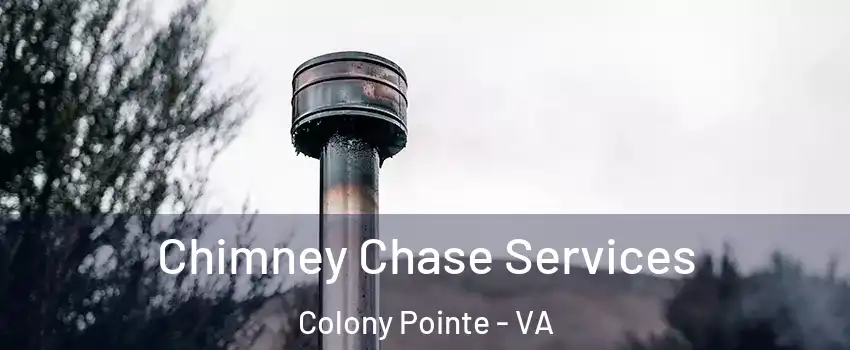 Chimney Chase Services Colony Pointe - VA