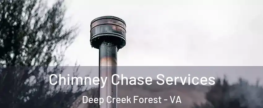 Chimney Chase Services Deep Creek Forest - VA