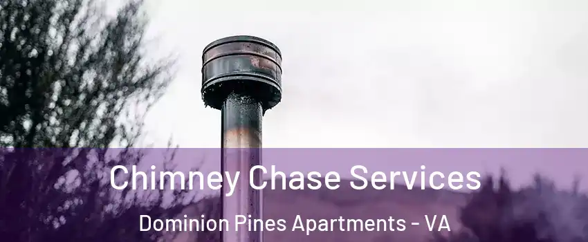 Chimney Chase Services Dominion Pines Apartments - VA
