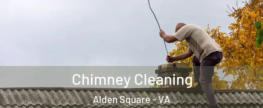 Chimney Cleaning Alden Square - VA