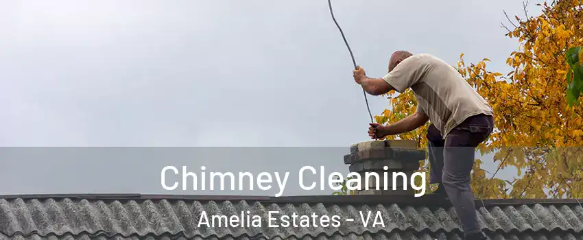 Chimney Cleaning Amelia Estates - VA