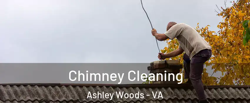 Chimney Cleaning Ashley Woods - VA