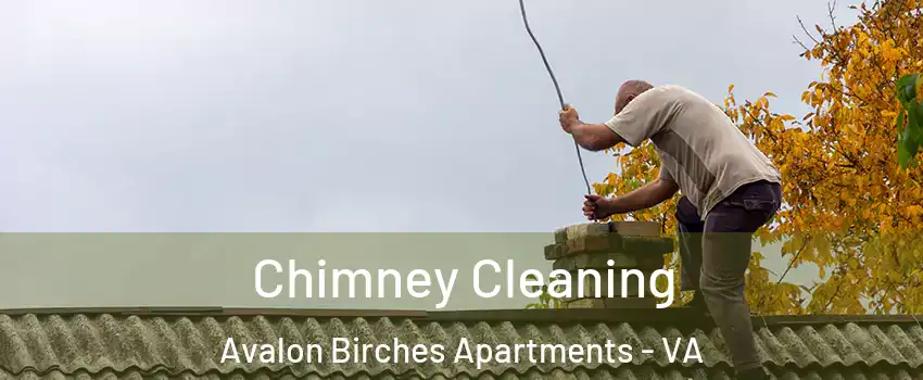 Chimney Cleaning Avalon Birches Apartments - VA