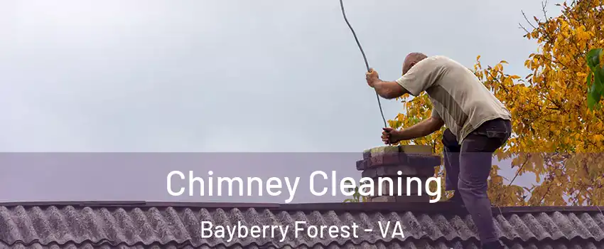 Chimney Cleaning Bayberry Forest - VA
