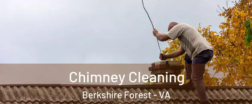 Chimney Cleaning Berkshire Forest - VA