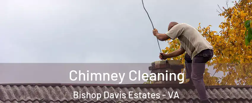 Chimney Cleaning Bishop Davis Estates - VA