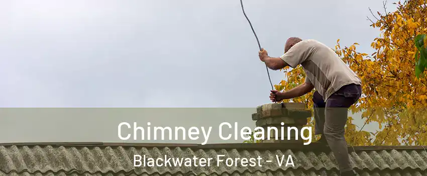 Chimney Cleaning Blackwater Forest - VA