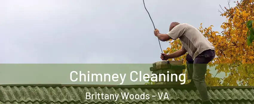 Chimney Cleaning Brittany Woods - VA