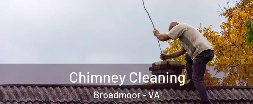 Chimney Cleaning Broadmoor - VA