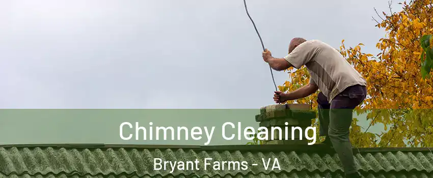 Chimney Cleaning Bryant Farms - VA