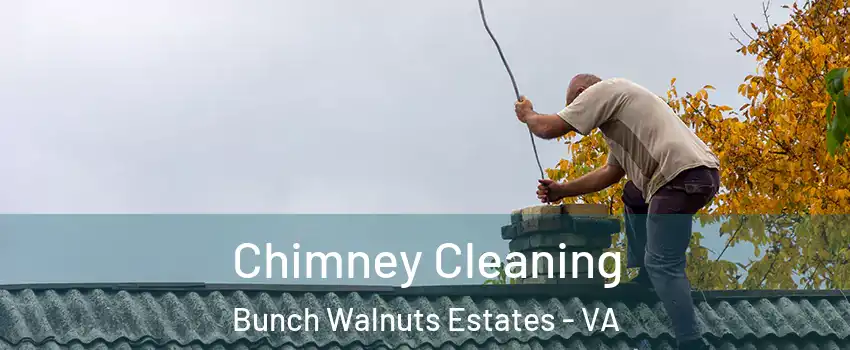 Chimney Cleaning Bunch Walnuts Estates - VA