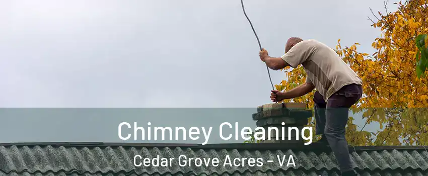 Chimney Cleaning Cedar Grove Acres - VA
