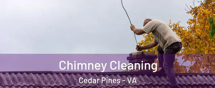Chimney Cleaning Cedar Pines - VA