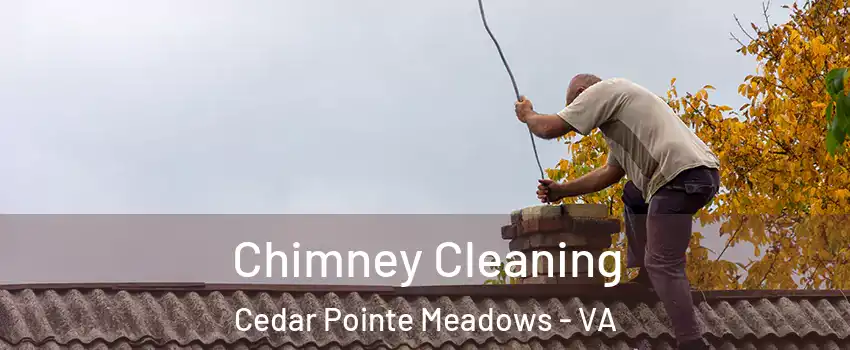 Chimney Cleaning Cedar Pointe Meadows - VA